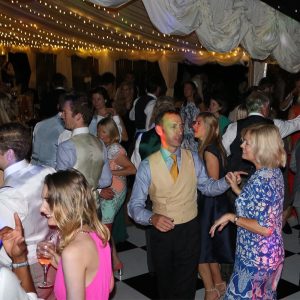 Party DJ Wiltshire